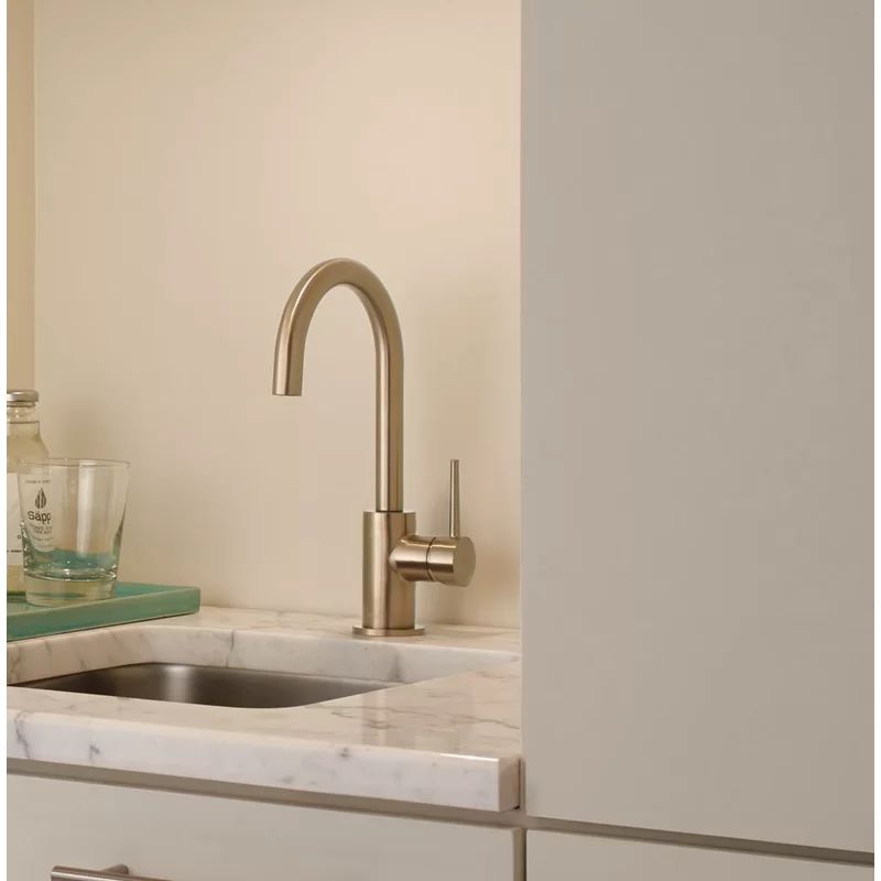 Trinsic Swivel Bar Faucet, Single Handle Prep Sink Faucet | Wayfair North America