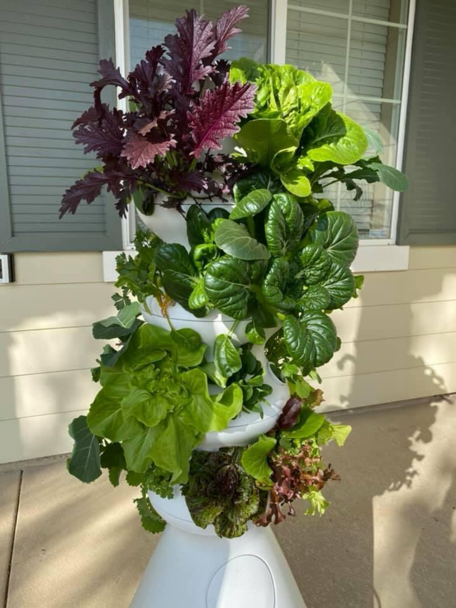 New! Lettuce Grow Farmstand Nook curated on LTK