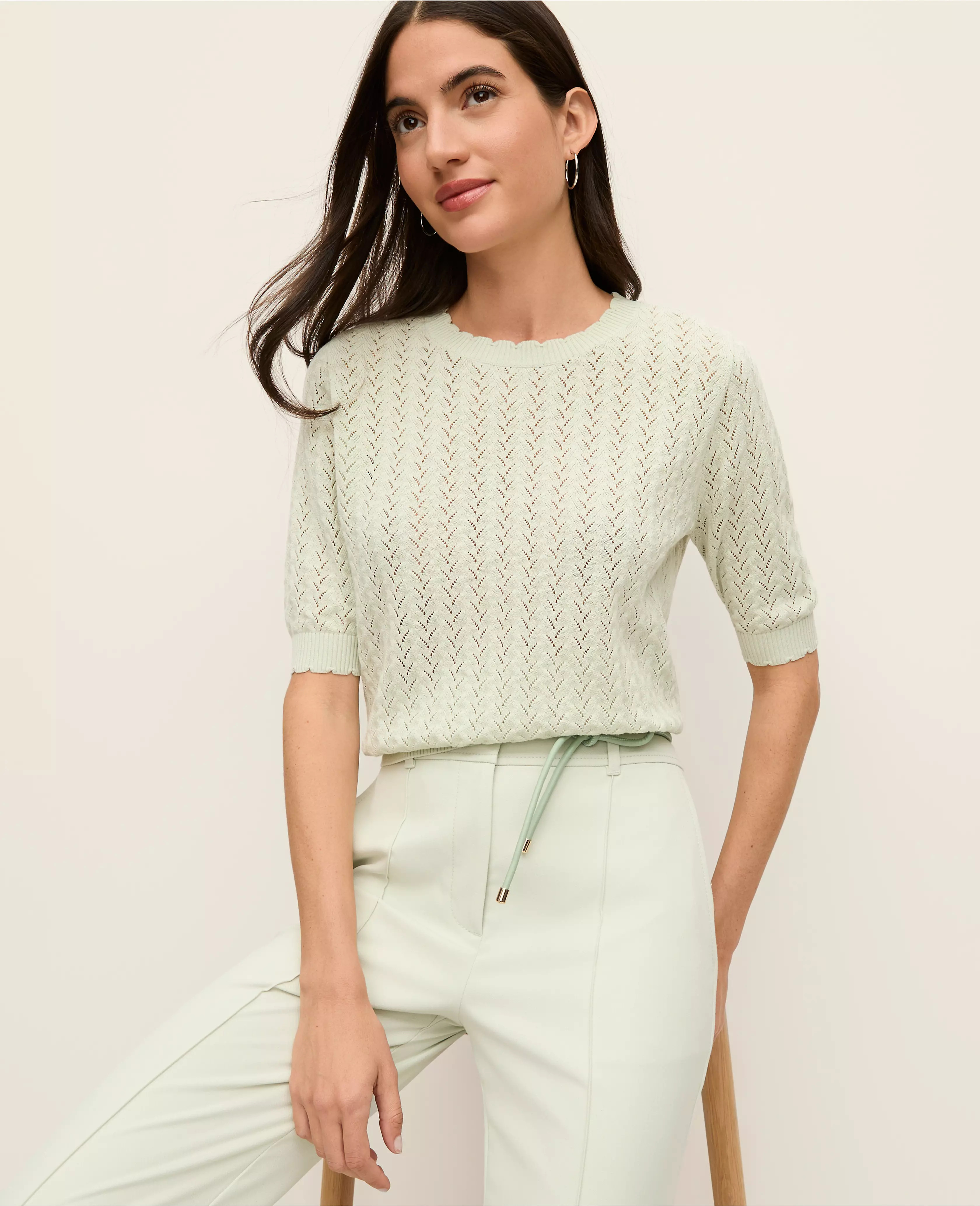 Pointelle Sweater Tee | Ann Taylor