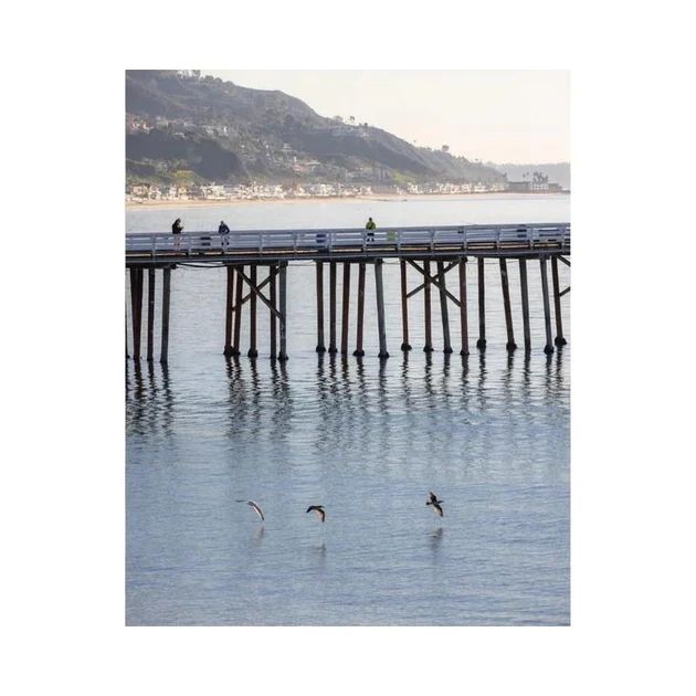Pier Birds Print | Cailini Coastal