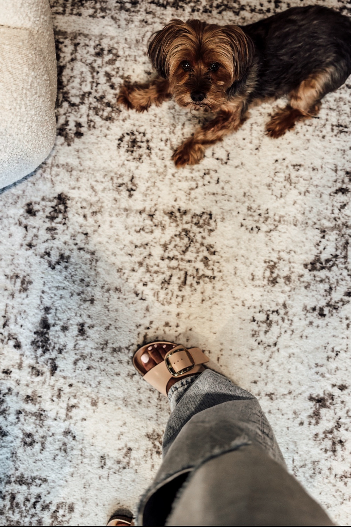 I paired my High Shine Big Buckle Birkenstocks with my Good American 90’s Jeans. 

#LTKStyleTip #LTKShoeCrush