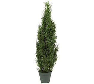 4' Cedar Tree Silk Tree by Nearly Natural | QVC
