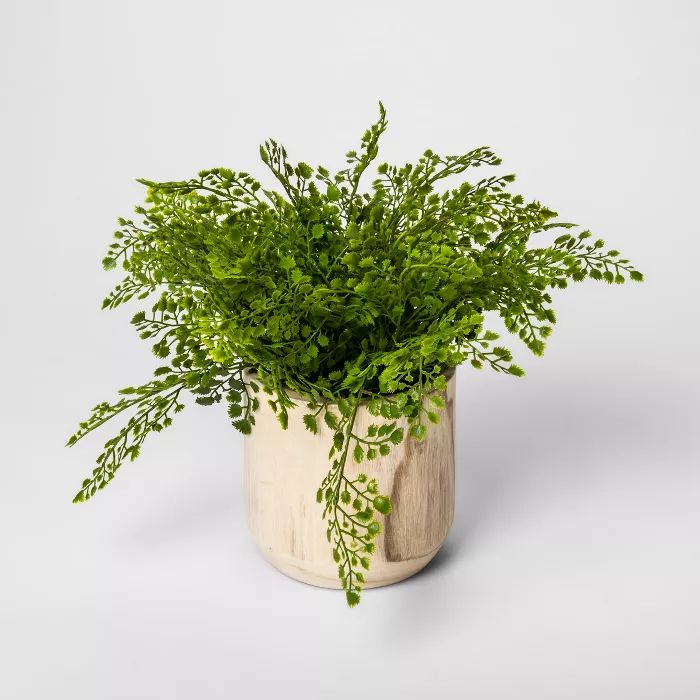 13" Potted Artificial Maiden Hair Fern - Threshold™ | Target