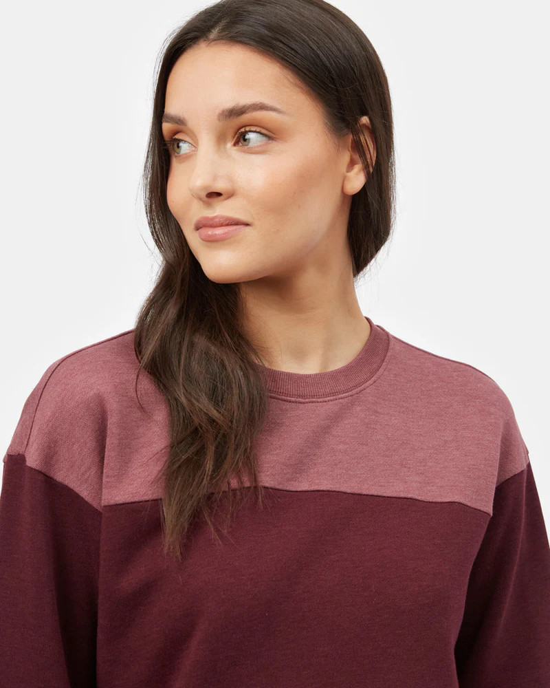 Womens Treefleece Blocked Crew | Organic Cotton | tentree