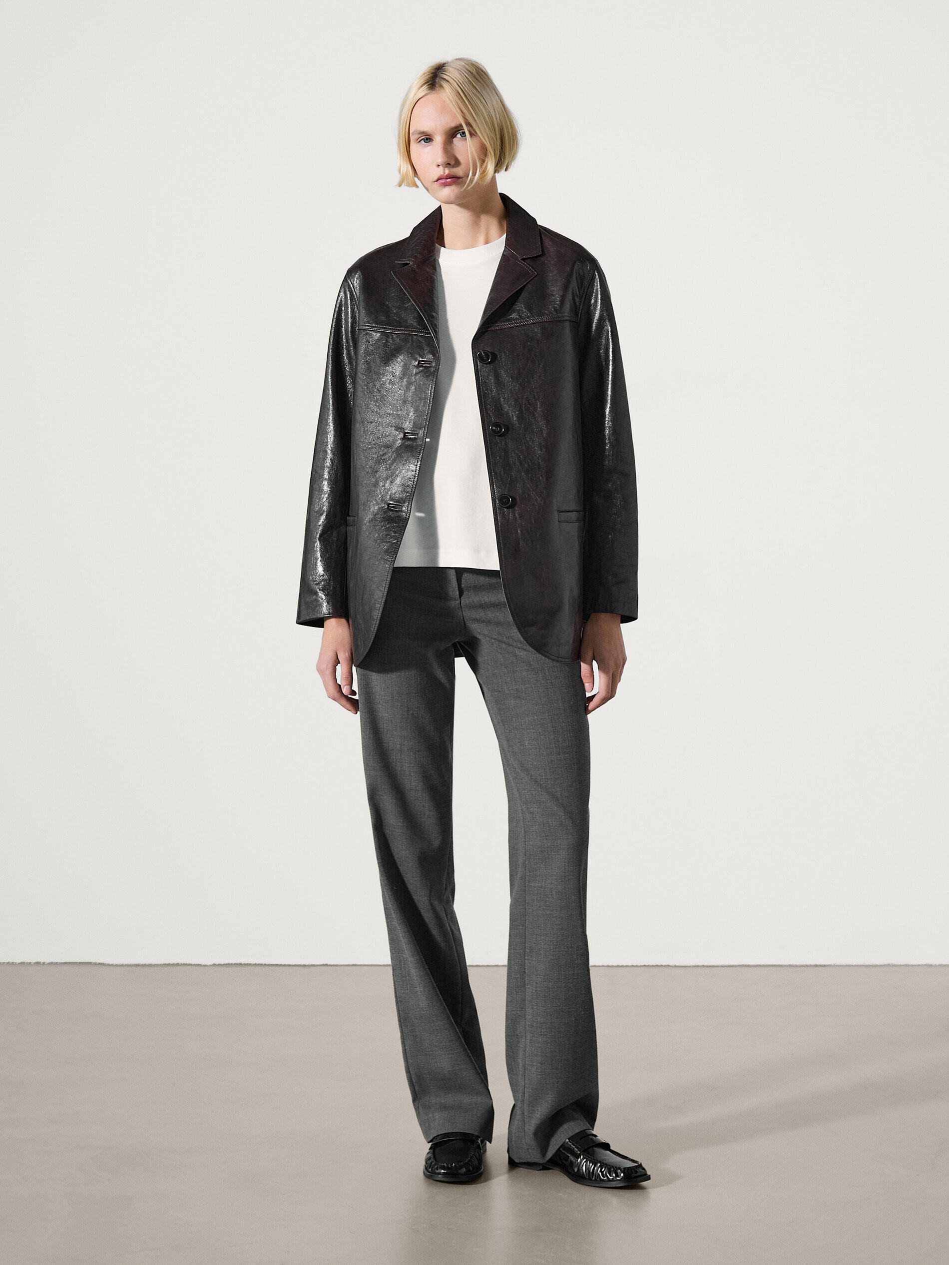 Short sleeve cotton t-shirt | Massimo Dutti US