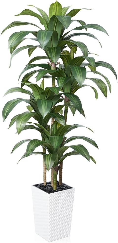 VeriNatural Artificial Dracaena Tree 6FT - Fake Tree with White Taper Planter & Pebbles - UV Resi... | Amazon (US)
