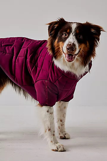 FP x Found My Animal Pippa Puffer Pet Jacket | Free People (Global - UK&FR Excluded)