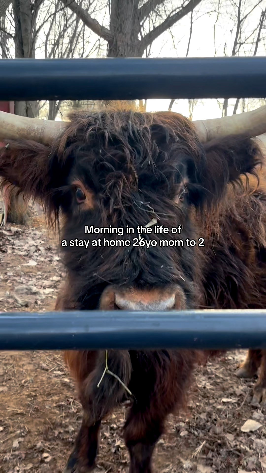 Morning in the life 🫶🏼

#LTKKids #LTKHome #LTKBaby