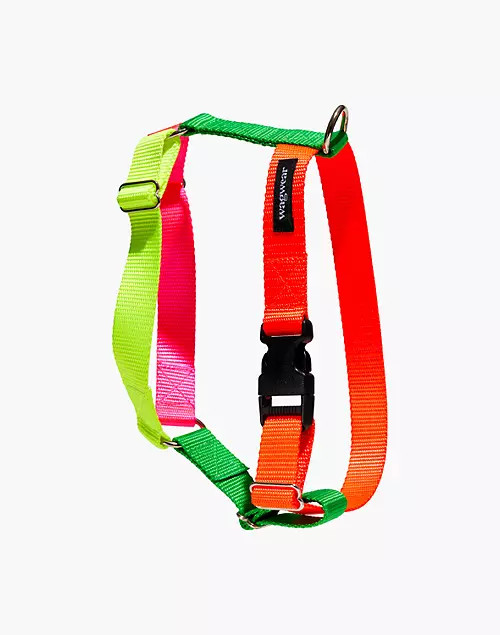 wagwear® Memphis Neon Dog Harness | Madewell
