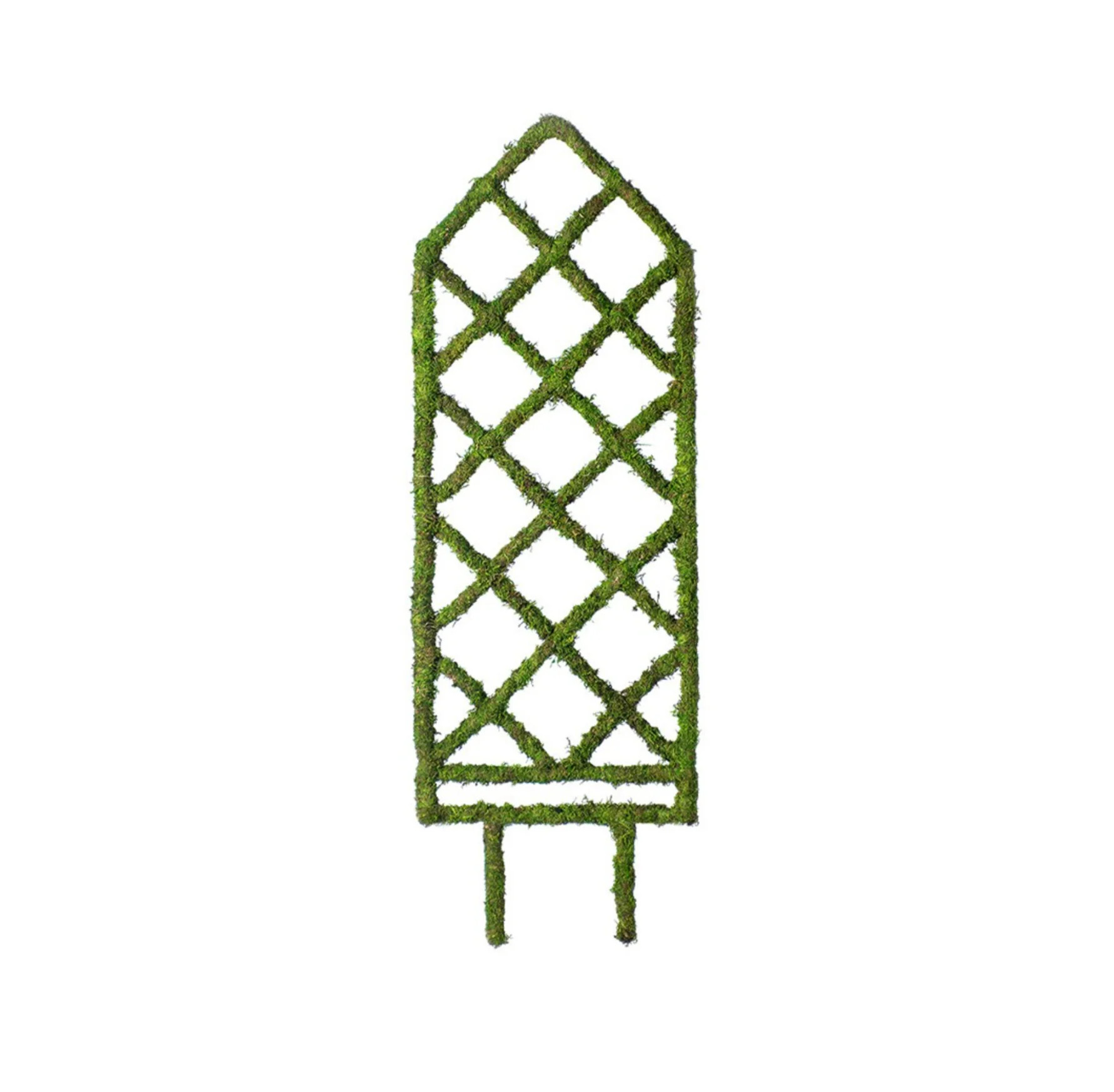 Moss Diamond Trellis | Massey Gordon