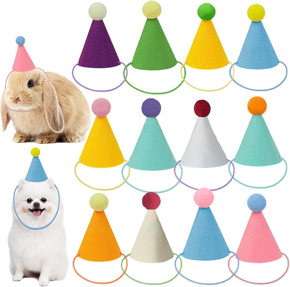 Mini Party Hats for Stuffed Animals, Birthday Party Cone Hats Dolls Dog Cat Rabbit Puppies Assort... | Amazon (US)