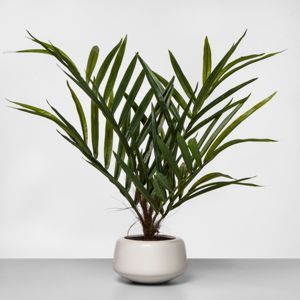 27" x 16" Artificial Potted Palm Green/White - Project 62™ | Target