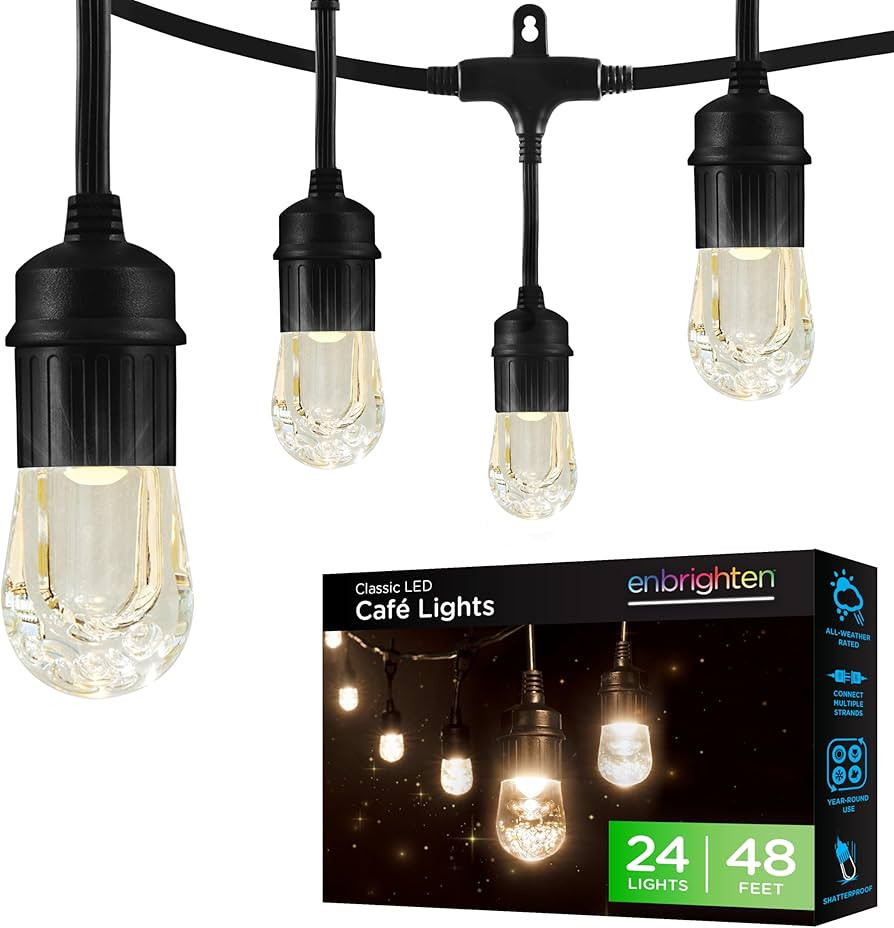 Enbrighten Classic Warm White String Lights, 48ft Black Cord, 24 Shatterproof Acrylic Bulbs, Weat... | Amazon (US)