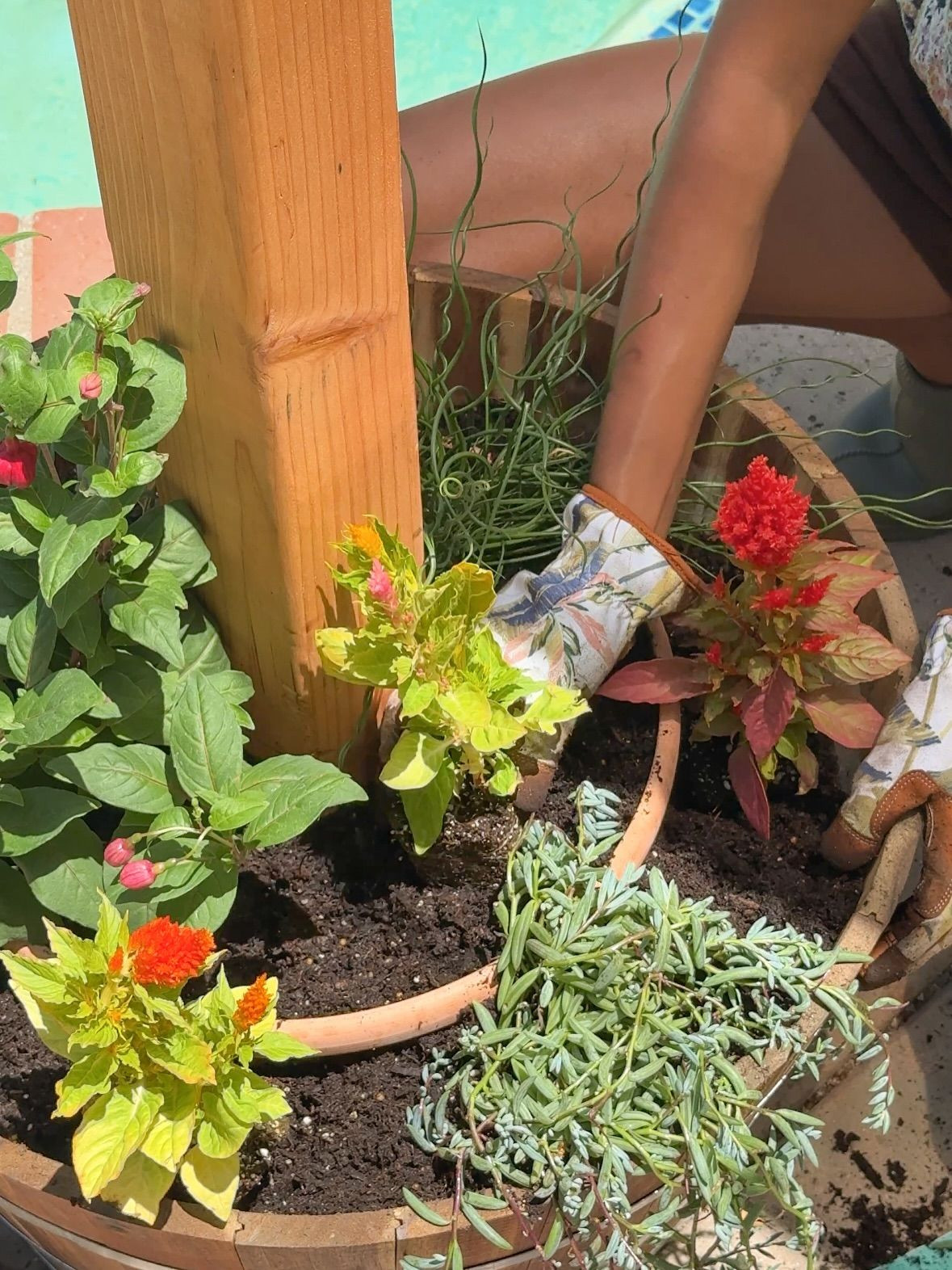 spring is around the corner and I'm excited to go garden grandma mode again loll 🌻🤎 

 #LTKselfcare #LTKHome