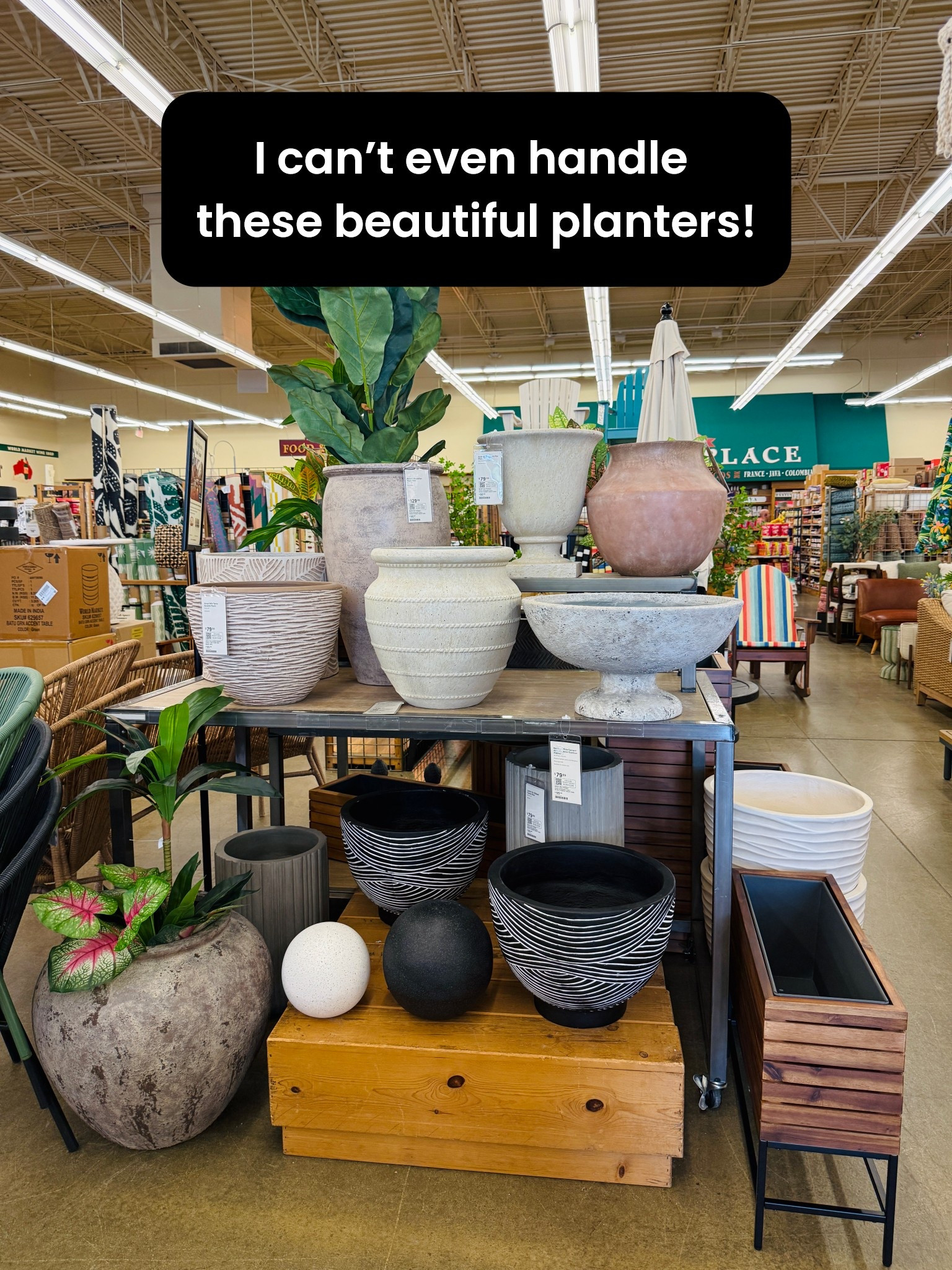 Beautiful outdoor planters for your patio! On sale for members (free to join)

#LTKHome #LTKSeasonal