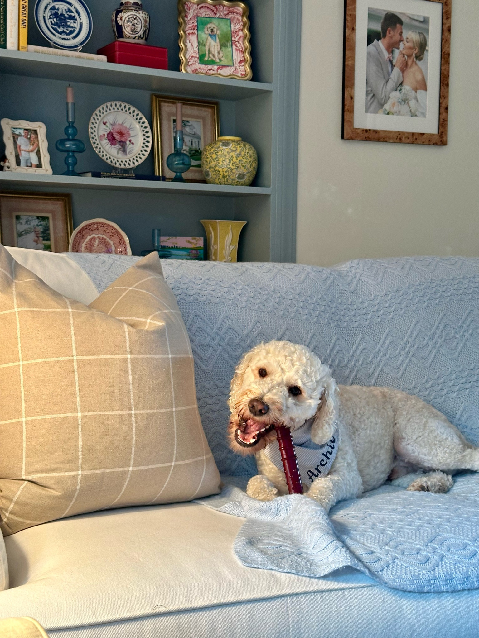 The perfect pillow!!! 👏🏼 Ballard can do no wrong in my eyes 