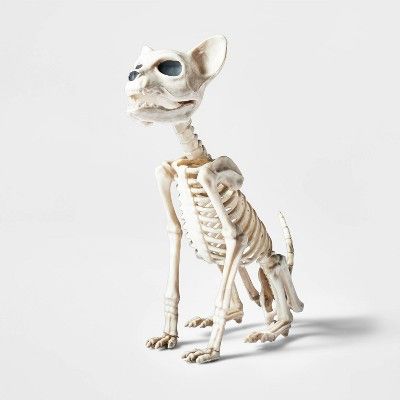 7.75" Small Sitting Kitten Skeleton Halloween Decorative Prop - Hyde & EEK! Boutique™ | Target