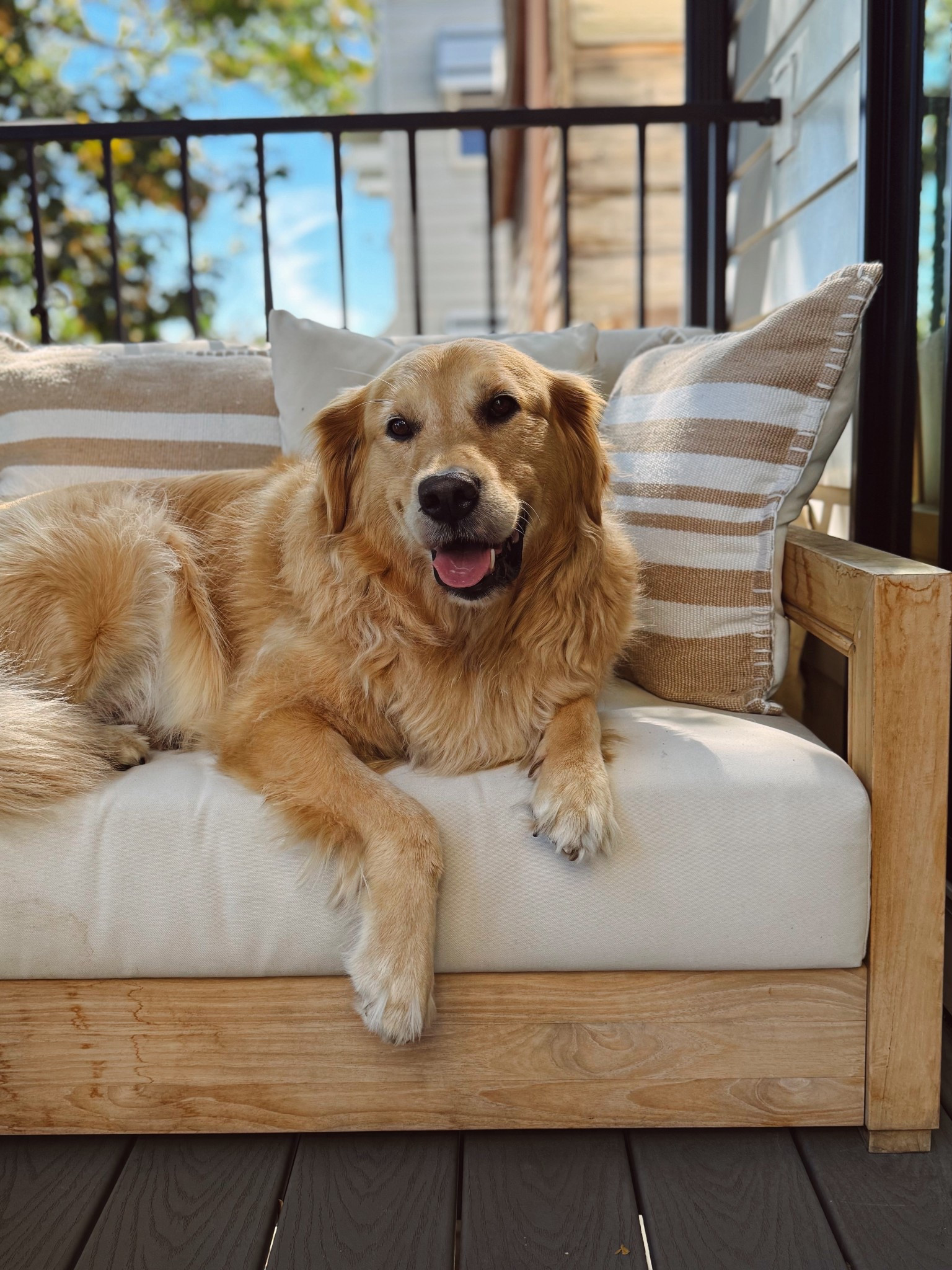 brody enjoying our outdoor furniture set from wayfair! 

#LTKHome #LTKPets
