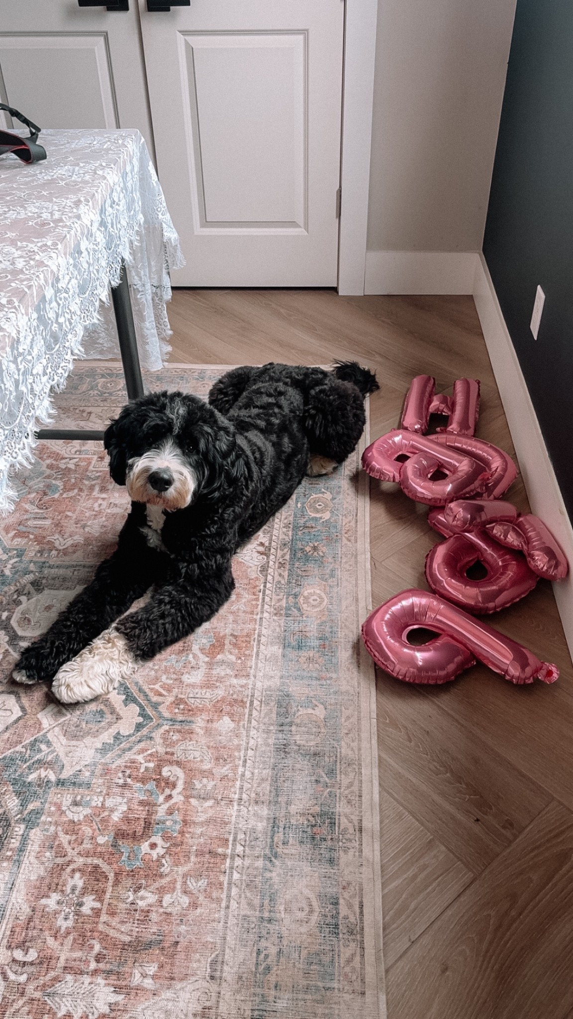The best thing we did with two snuggly fur babies was invest in washable rugs.  

#LTKHome