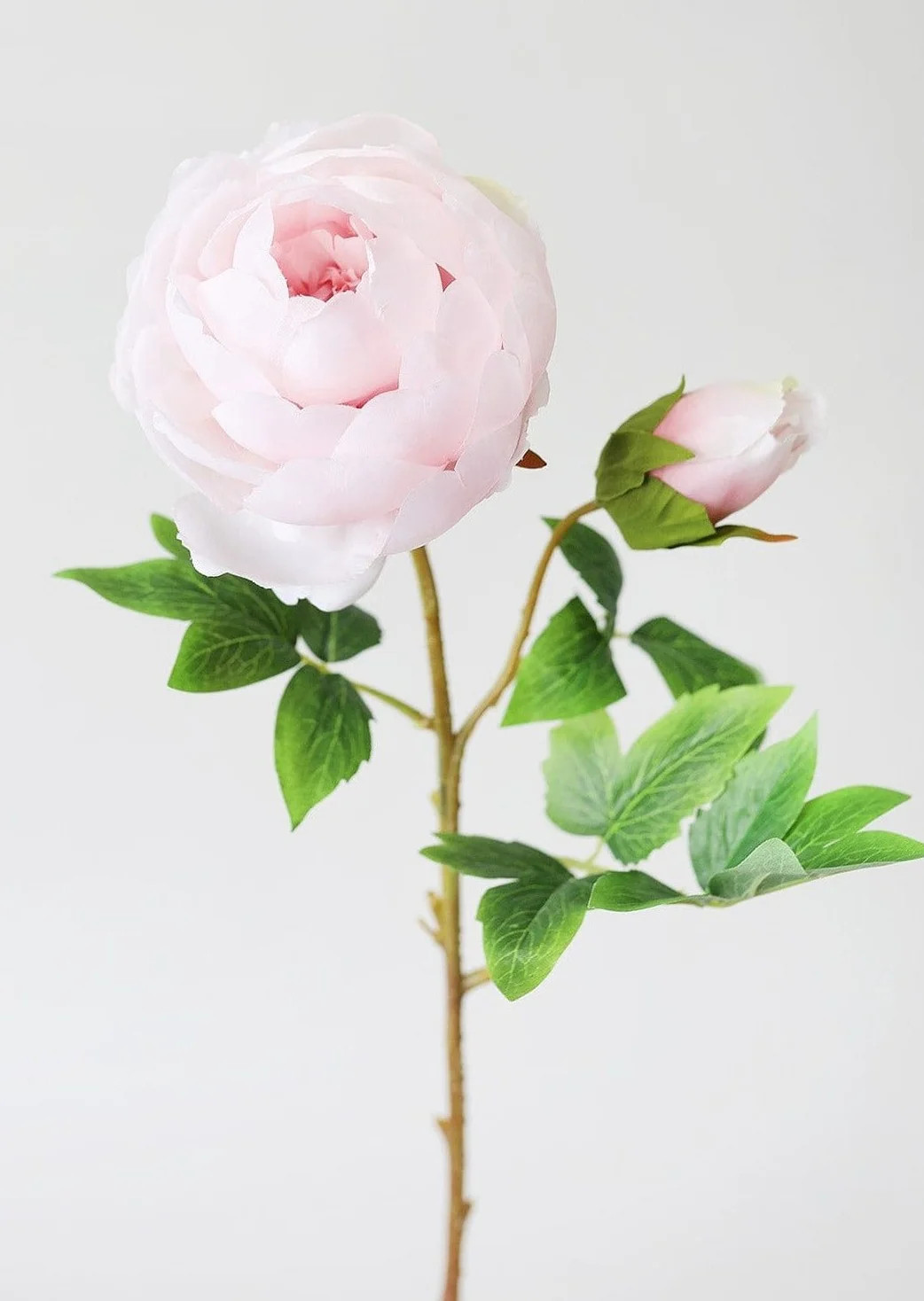 Silk Peony in Light Pink - 24" Tall | Afloral (US)