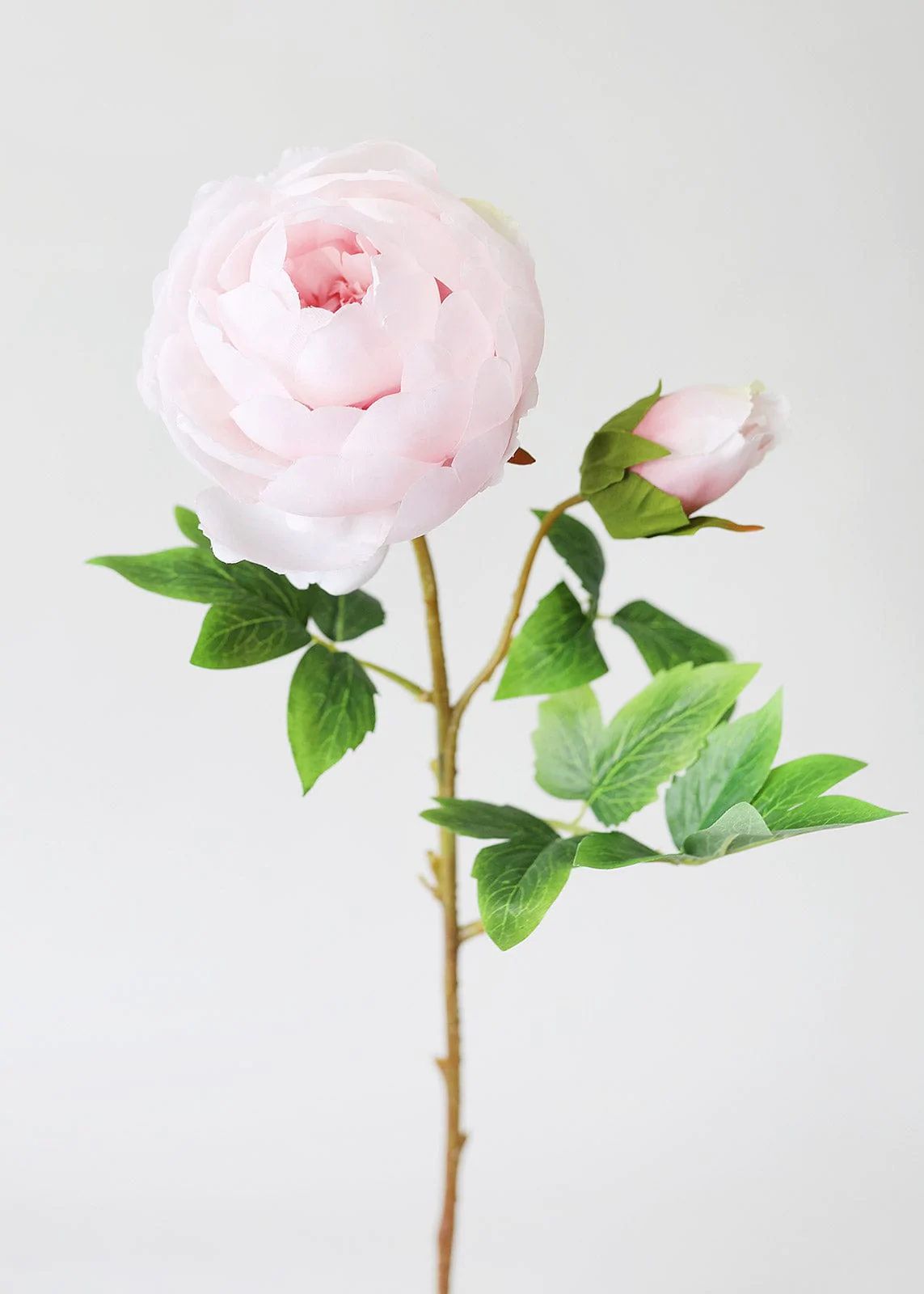 Silk Peony in Light Pink - 24" Tall | Afloral (US)