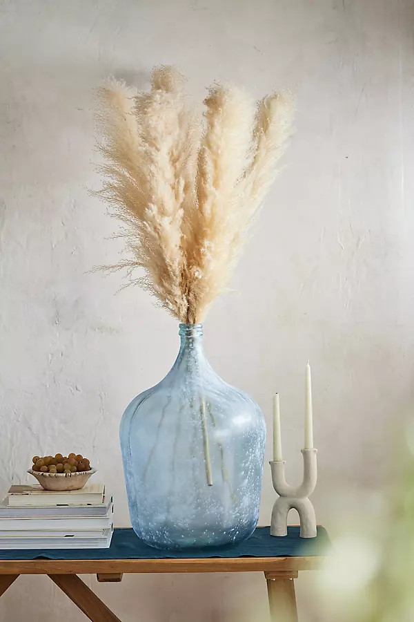Dried Pampas Grass Bunch | Anthropologie (US)