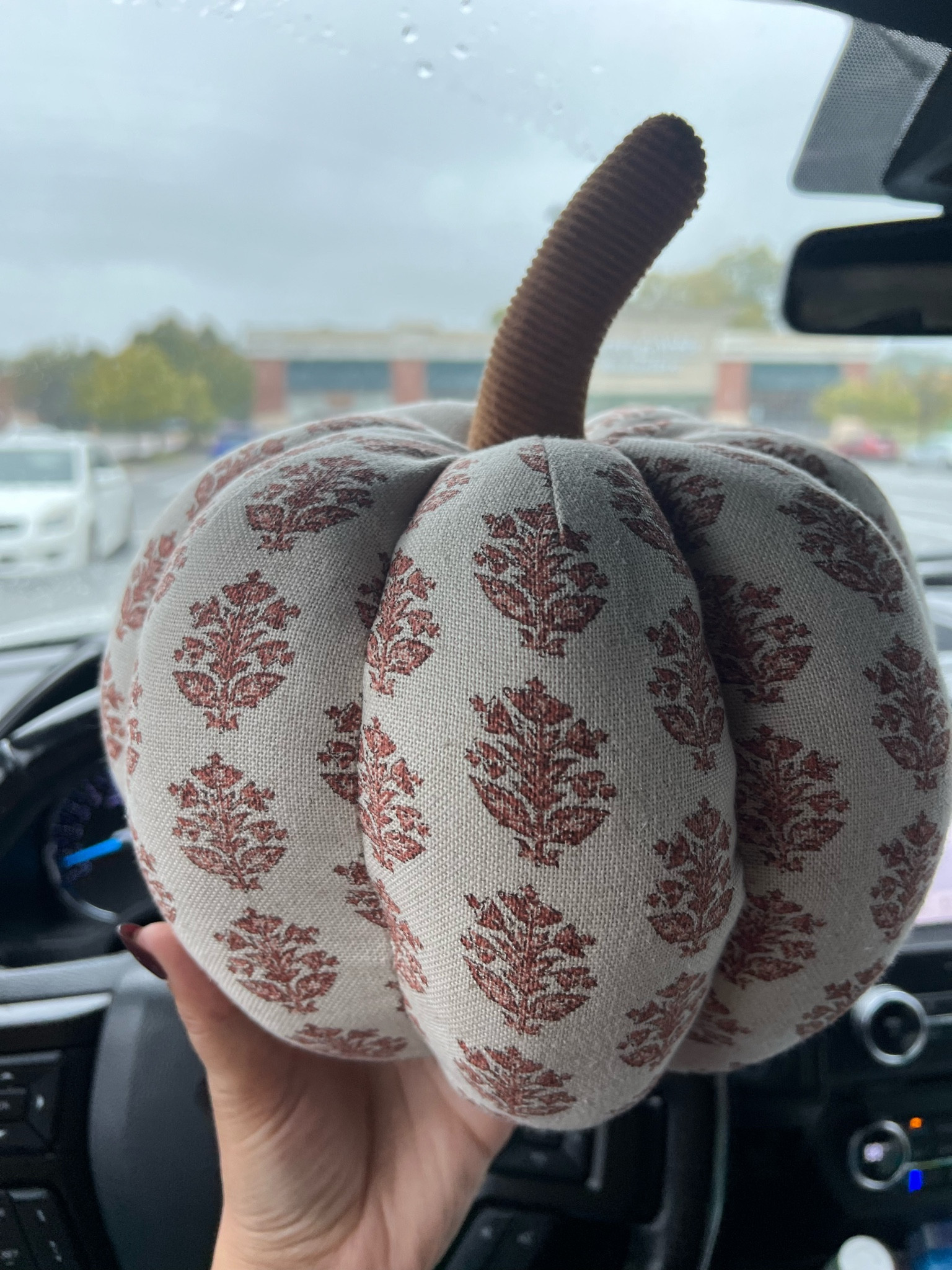 How gorgeous is this is this pumpkin pillow?! It’s the perfect vintage fall decor to add to your home!! 

#LTKSeasonal #LTKHome #LTKStyleTip