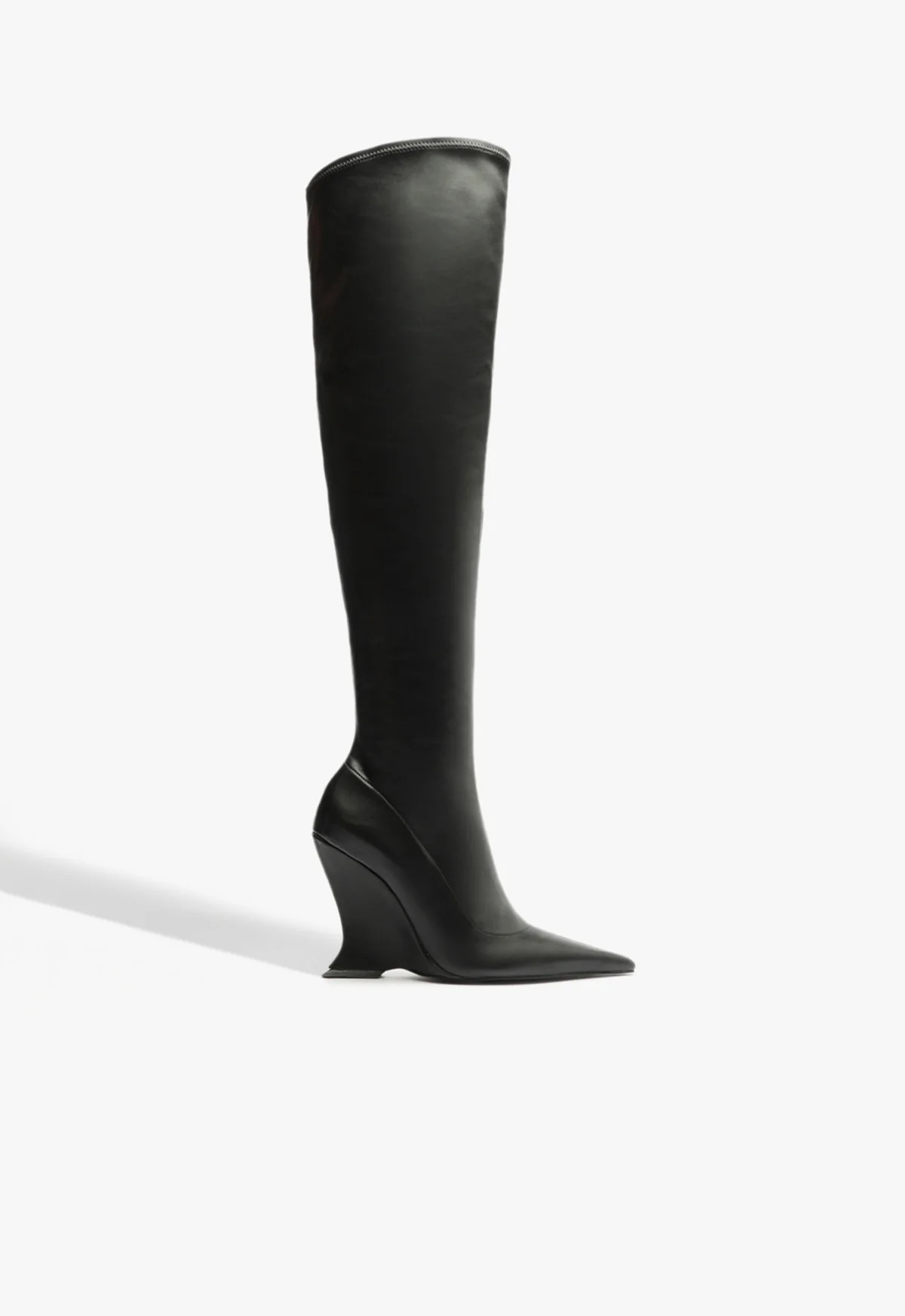 Siena Over The Knee Boot | Schutz (US)