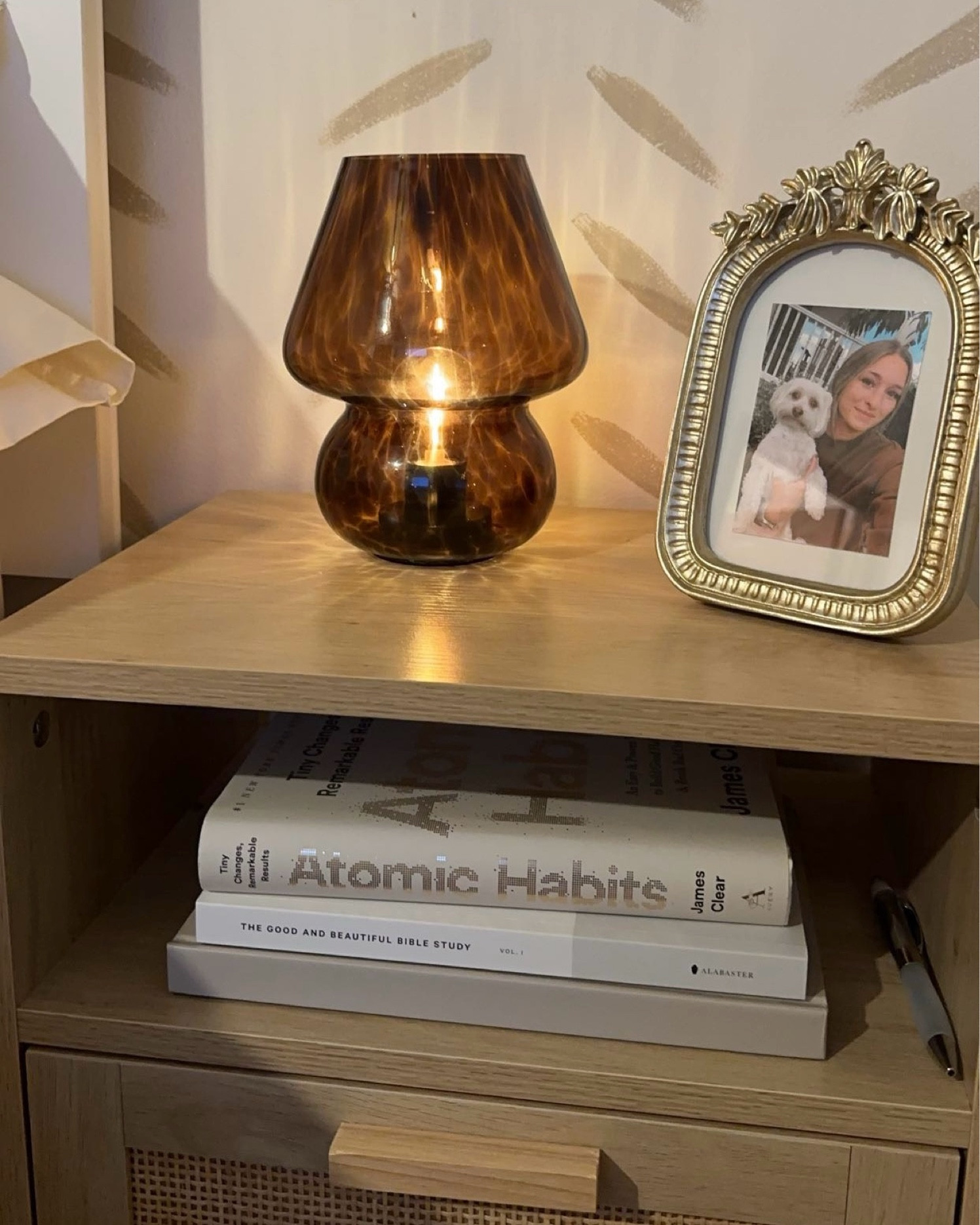 Under $10 at Walmart! Tortoise pattern mushroom lamp that’s powered by AAA batteries, so no outlet needed and no cords showing. 

#LTKHome #LTKSeasonal #LTKU