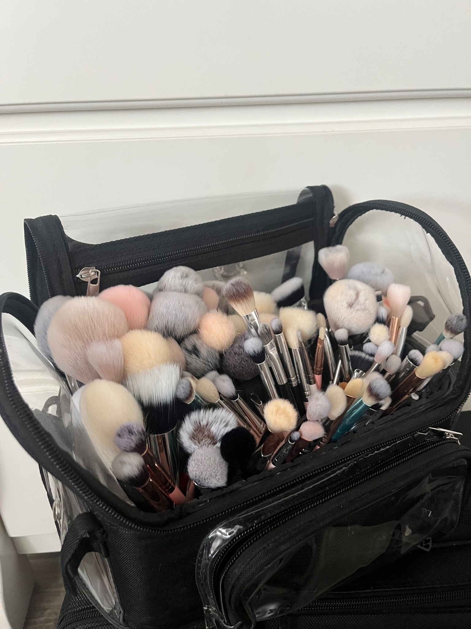 perfect brush case for a traveling or the everyday working MUA! so roomy  

#LTKItBag #LTKFindsUnder50 #LTKBeauty