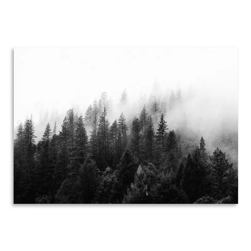 Americanflat Foggy Tree Scandinavian Scenery by Tanya Shumkina Poster | Target
