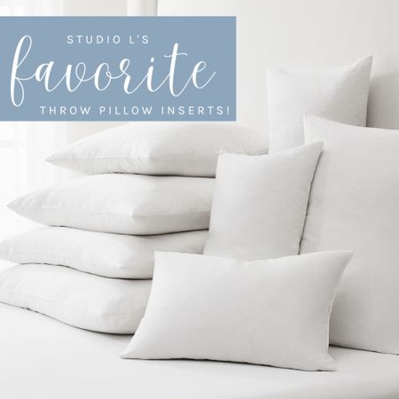 Shop Studio L’s favorite throw pillow inserts!
•
#interiordesign #homedecor #throwpillows

#LTKhome #LTKstyletip