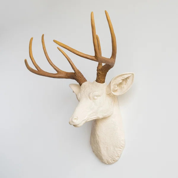 Atlantis Faux Taxidermy Wall Decor | Wayfair North America