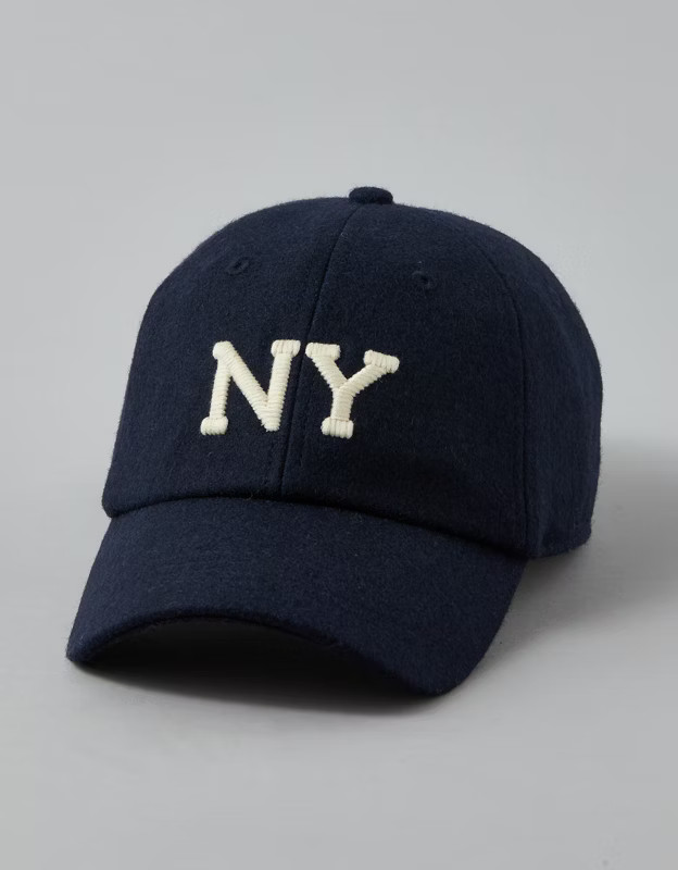 AE Tweed NY Baseball Hat | American Eagle Outfitters (US & CA)