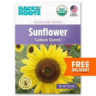 Organic Lemon Queen Sunflower Seed (1-Pack) | The Home Depot