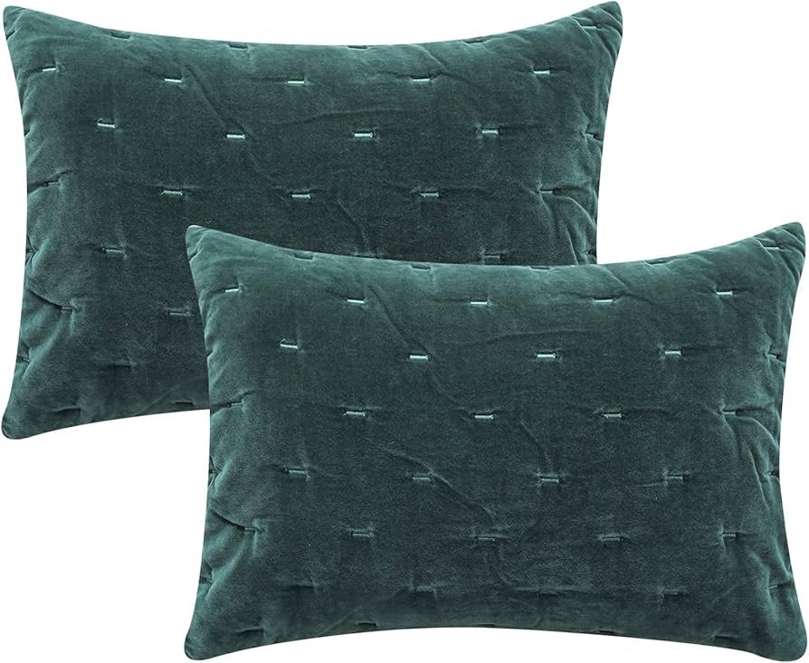 COCOPLOCEUS 26"x26" Euro Sham Pillow Covers Set of 2 Velvet Euro Pillow Covers Decorative Square ... | Amazon (US)