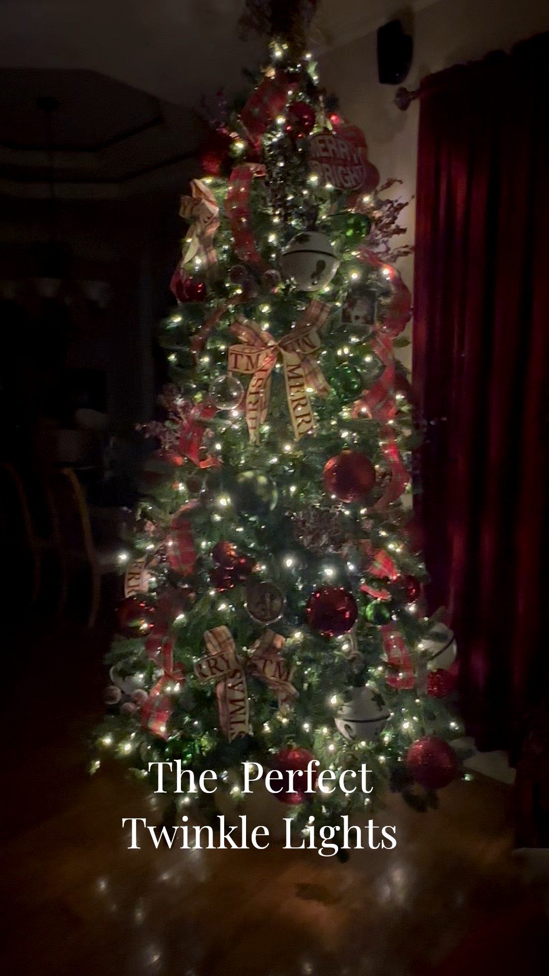 The best twinkle lights!  

#LTKHome #LTKSeasonal #LTKWedding