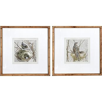 Creative Co-Op Wood Framed Wall Décor with Bird and Nest, Cream and Brown, Set of 2 | Amazon (US)