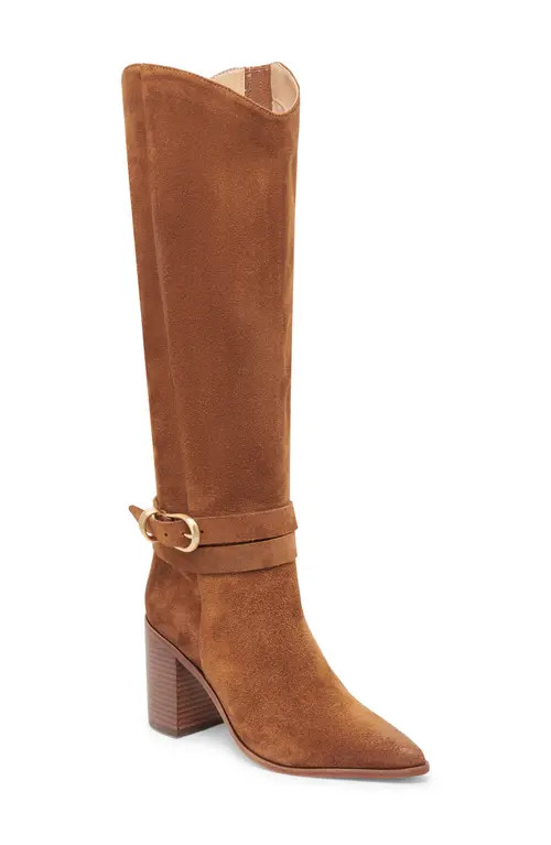 Dolce Vita Tyrone Pointed Toe Knee High Boot in Brown Suede at Nordstrom, Size 6.5 | Nordstrom