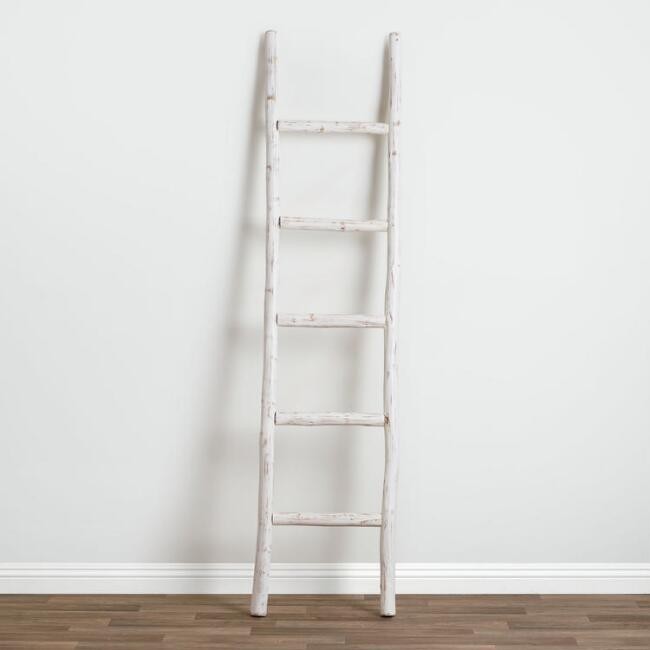 Whitewash Eucalyptus Ladder Decor | World Market