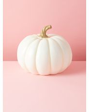 8x10 Pumpkin Decor | HomeGoods