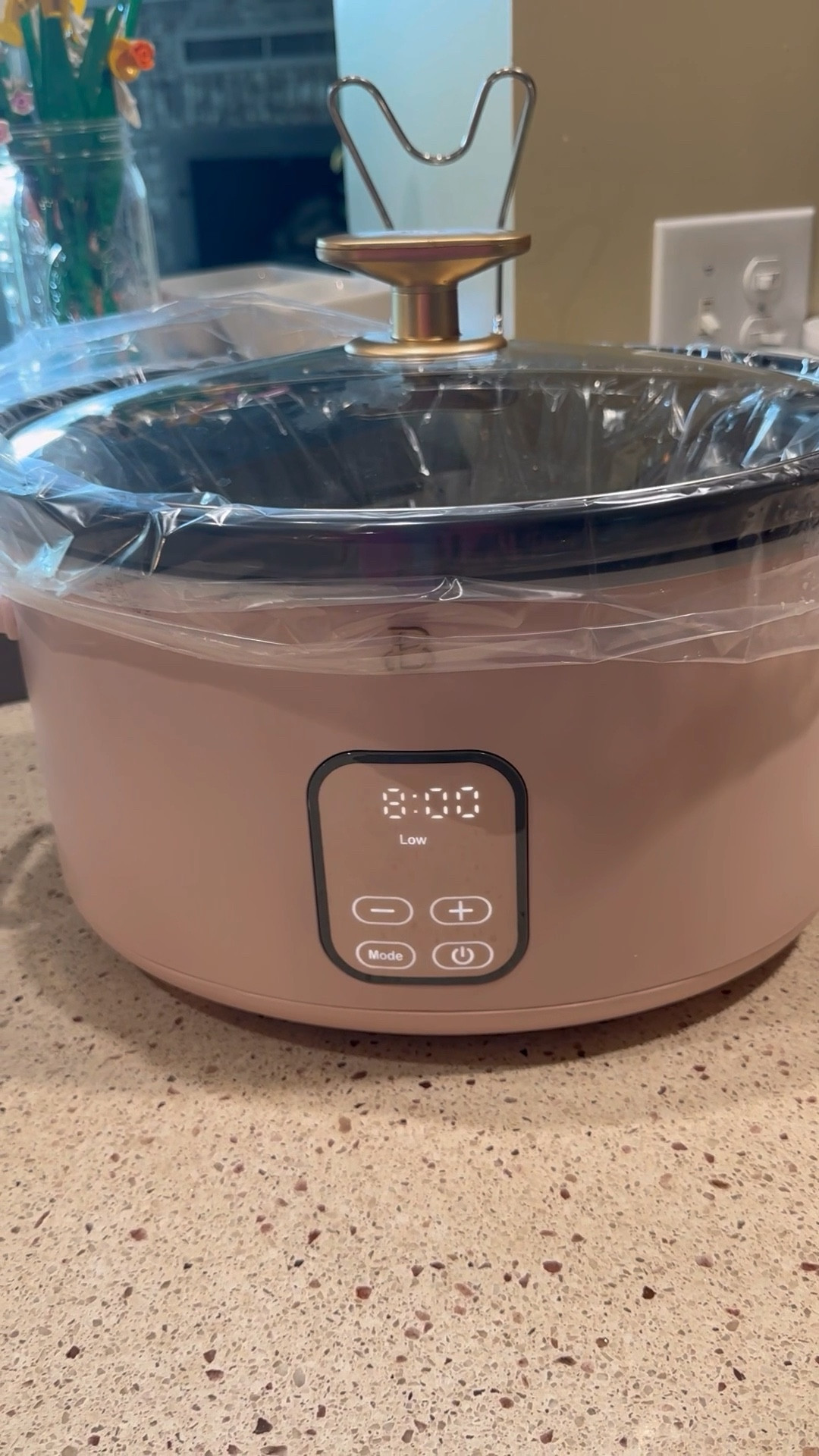 💗if your slow cooker isn’t making you smile it’s time for a switch up! 

Hello PINK 👋 love this digital slow cooker I can set cook and come home to a home cooked meal! 

Choose your color that makes you happy! 

Perfect for all #CrazyBusyMama on the go! 
After all Slow Cooker meals for dinners are all Crazy busy mamas  fav!!


#LTKVideo #LTKHome #LTKBacktoSchool