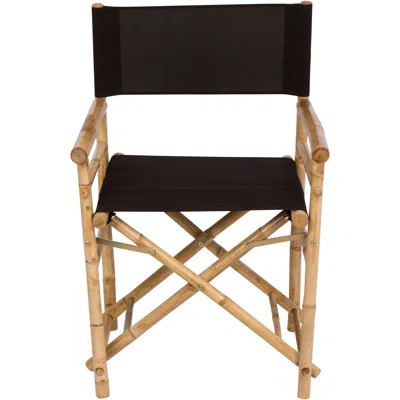 Laseter Folding Director Chair (Set of 2) | Wayfair North America