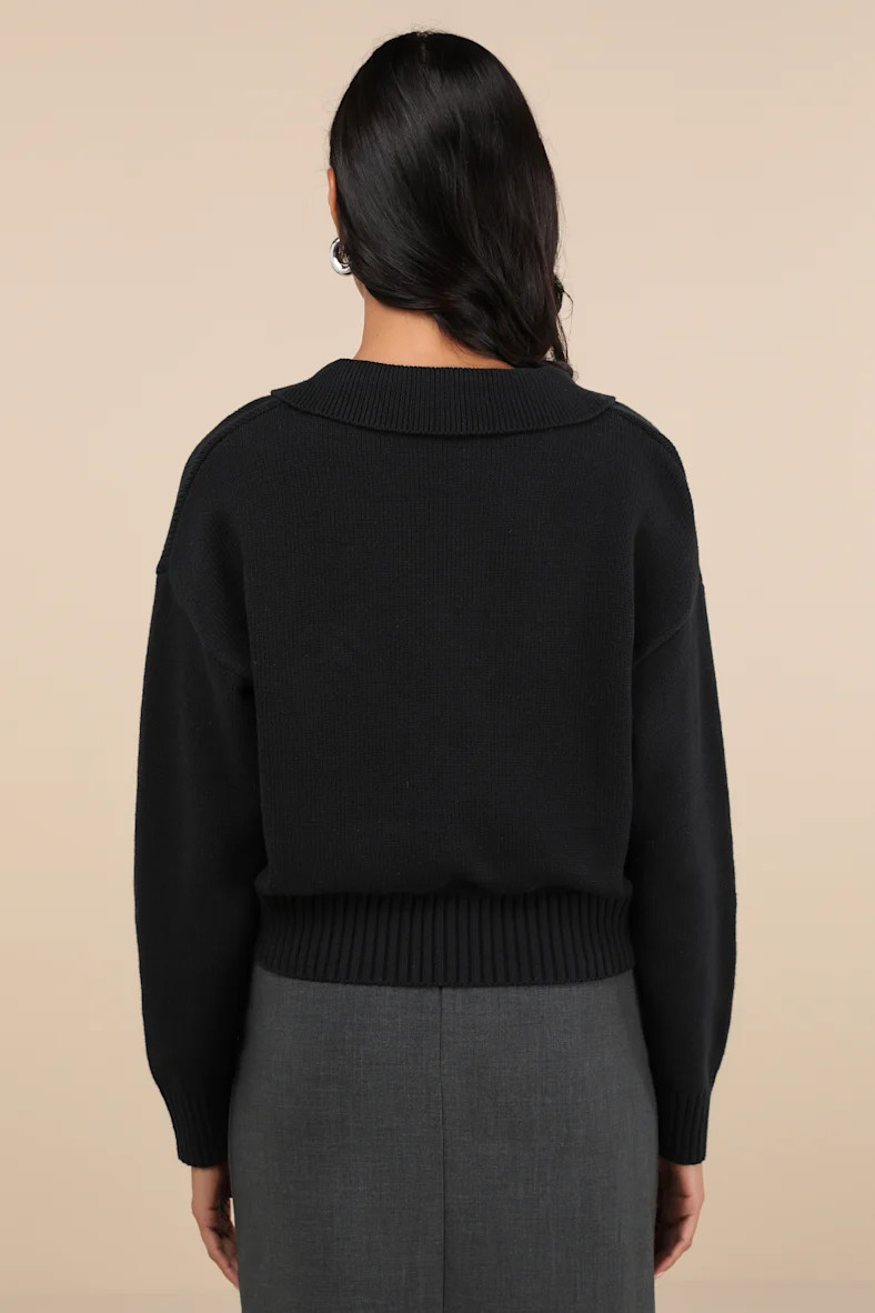 Cozy Forecast Black Collared Pullover Sweater | Lulus