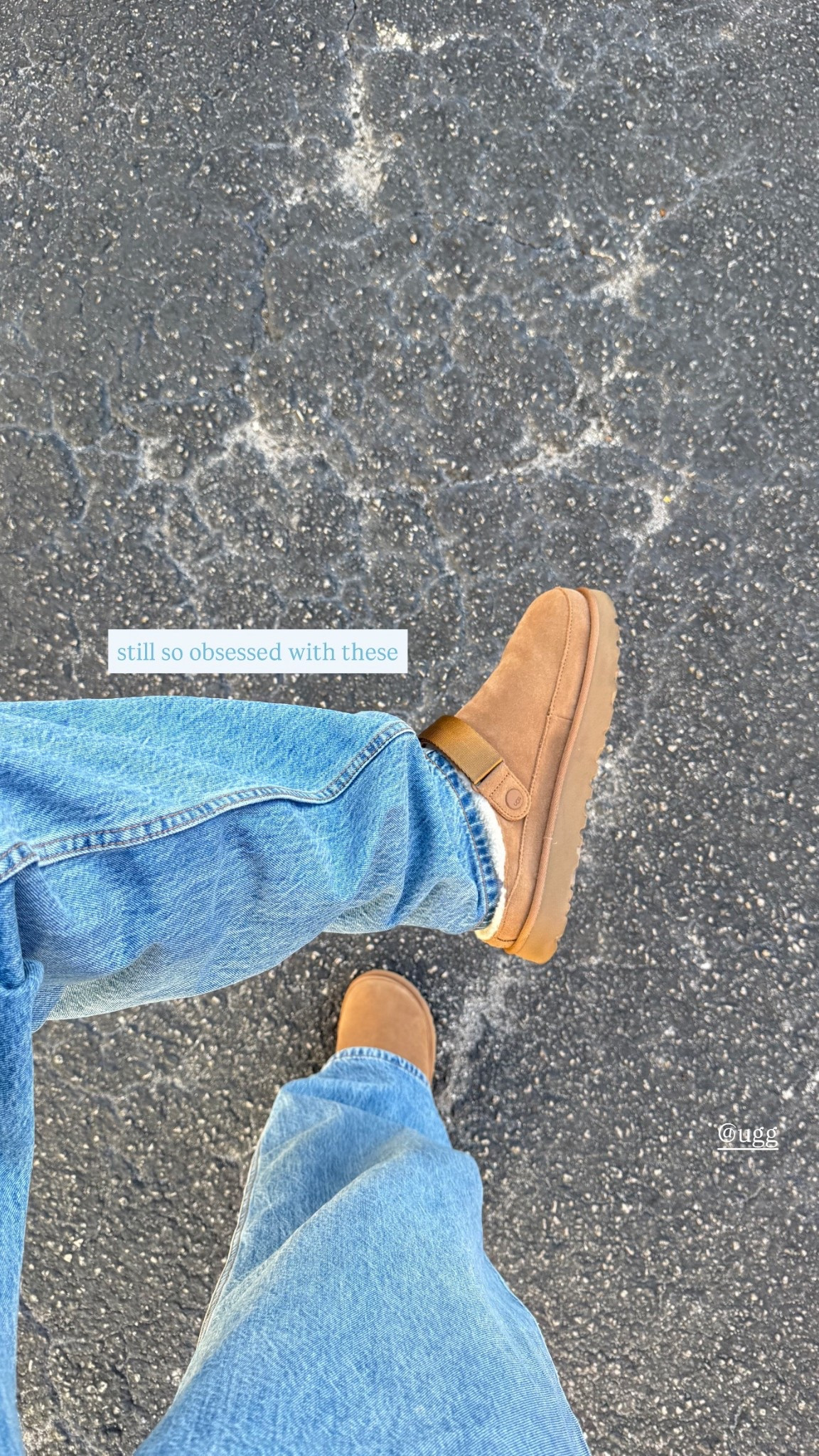 so cute & cozy for fall!!