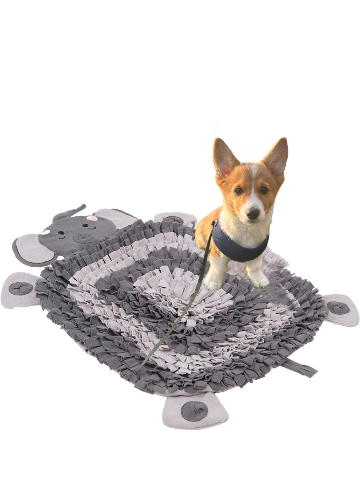 Snuffle mat feeder for dogs. Sprinkle their food on the mat and allow their nose to do the work of finding the food. Keeps them occupied and eating for about 30 mins as opposed to 5 mins. 

Pet accessories, dog feeder

#LTKFind