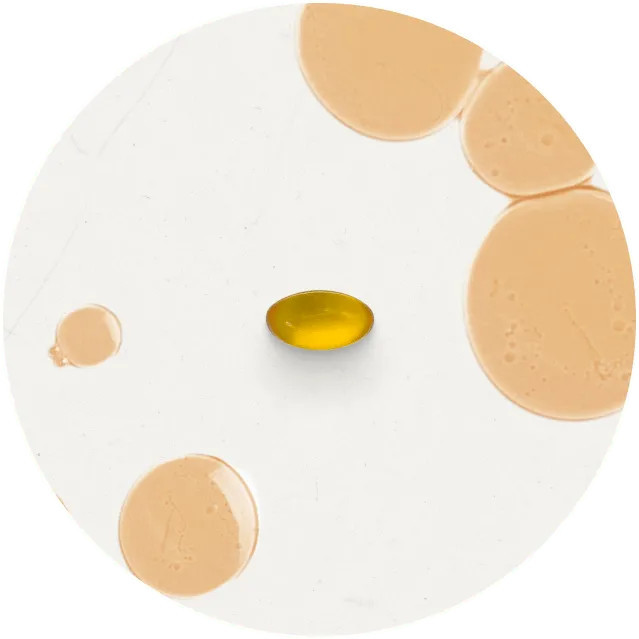 Veg Omega - Premium Supplements from Vitable | Vitable