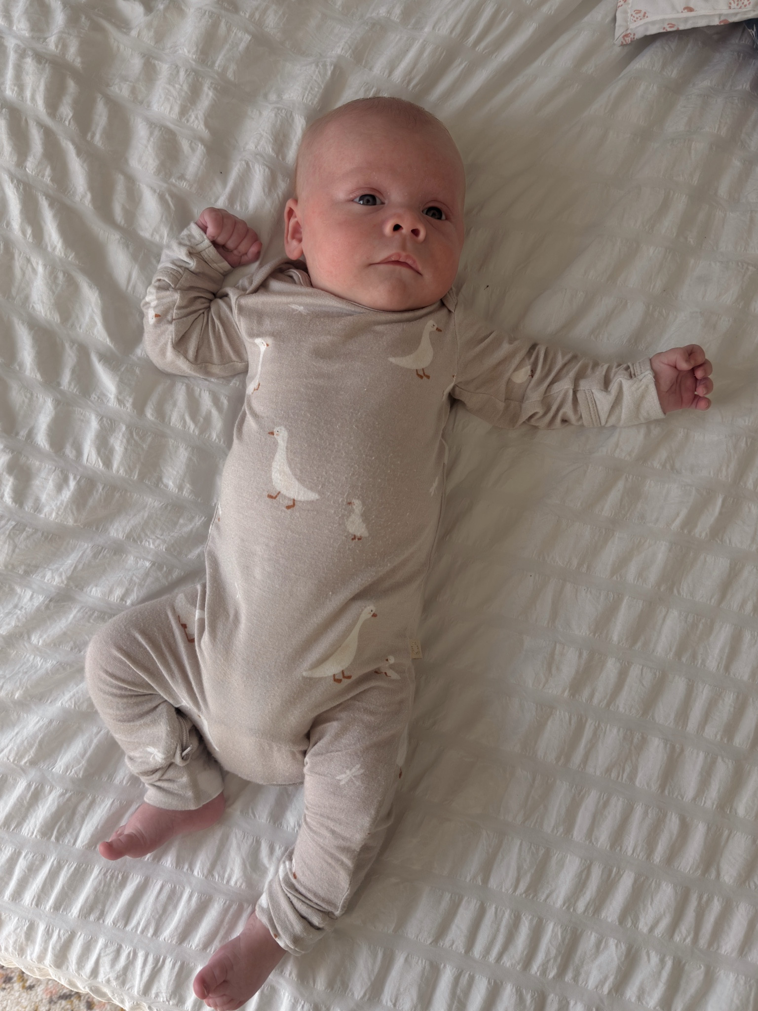 The best bamboo baby pajamas 