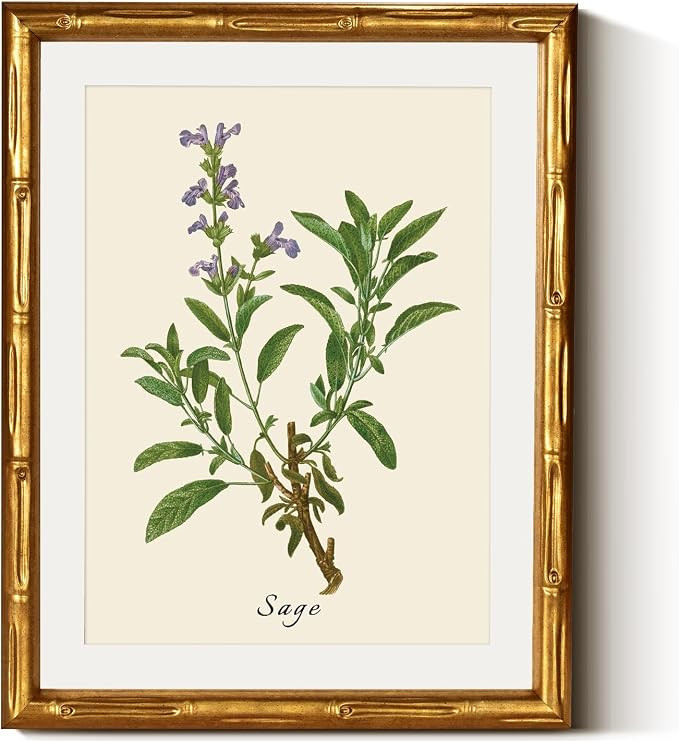 InSimSea Gold Bamboo Framed Canvas Wall Art, Vintage Watercolor Sage Herbs Prints, Antique Pictur... | Amazon (US)