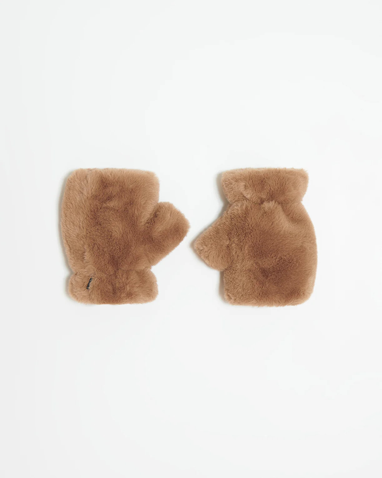 Ariel Camel | Apparis